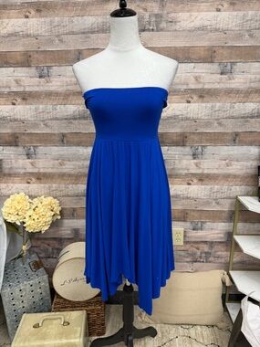 Express Blue Jersey Knit Tube Dress